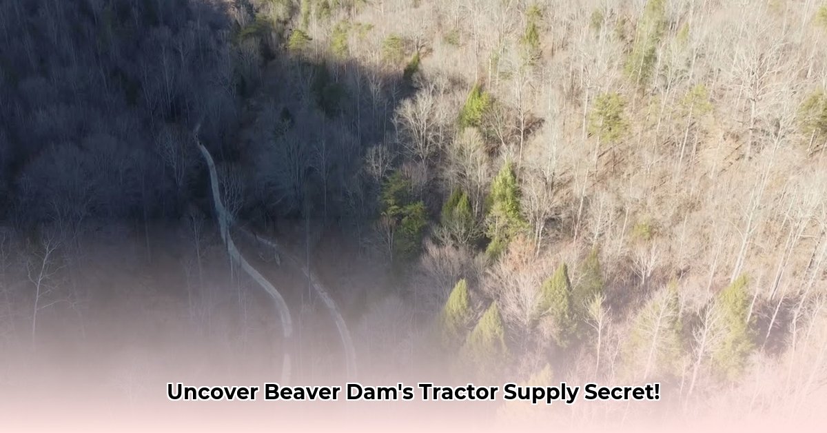 tractor-supply-beaver-dam-kentucky